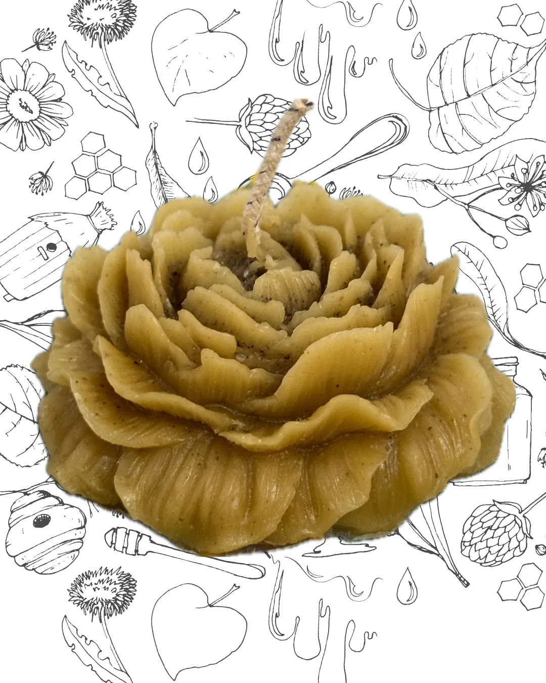 VELA PEONIA