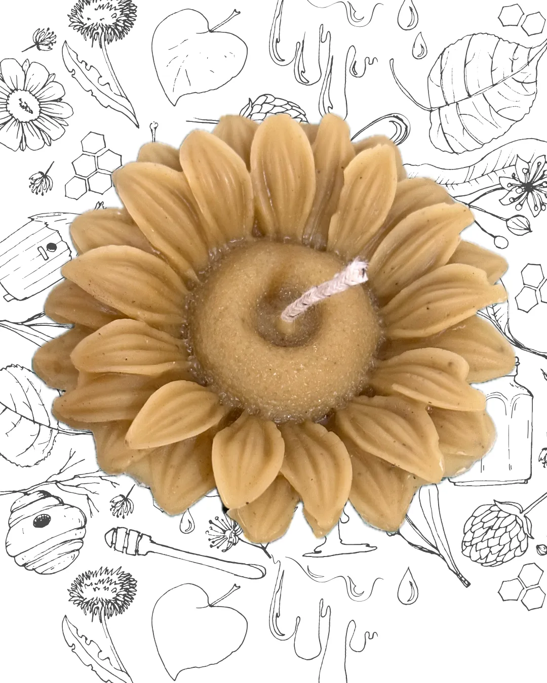 GIRASOL