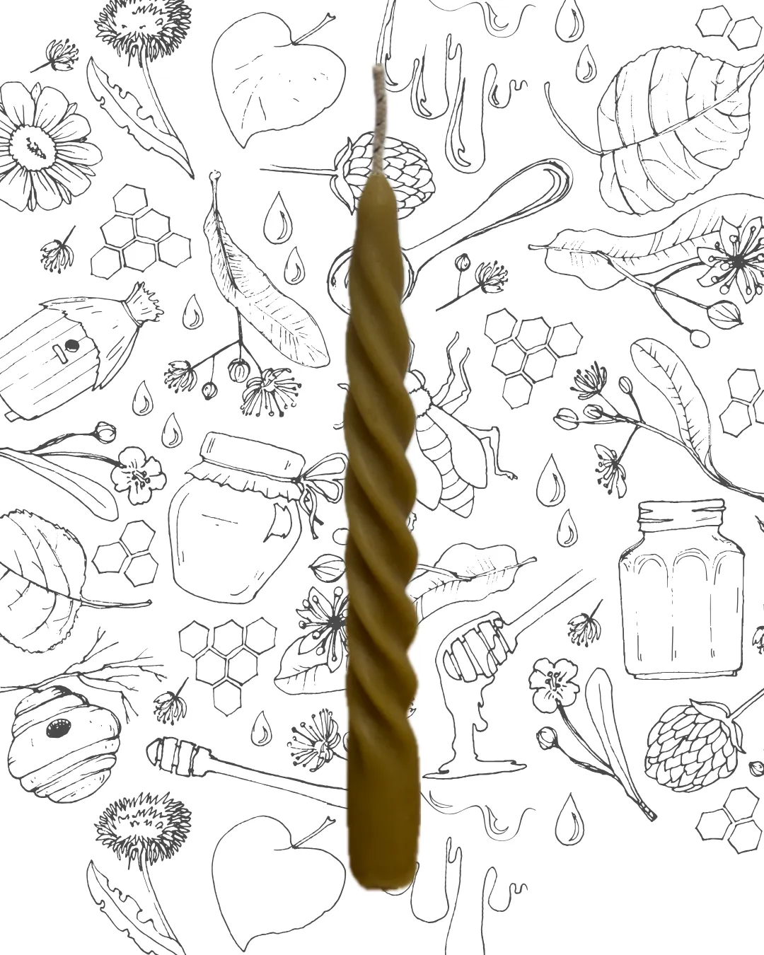 VERA ESPIRAL AJUSTADA